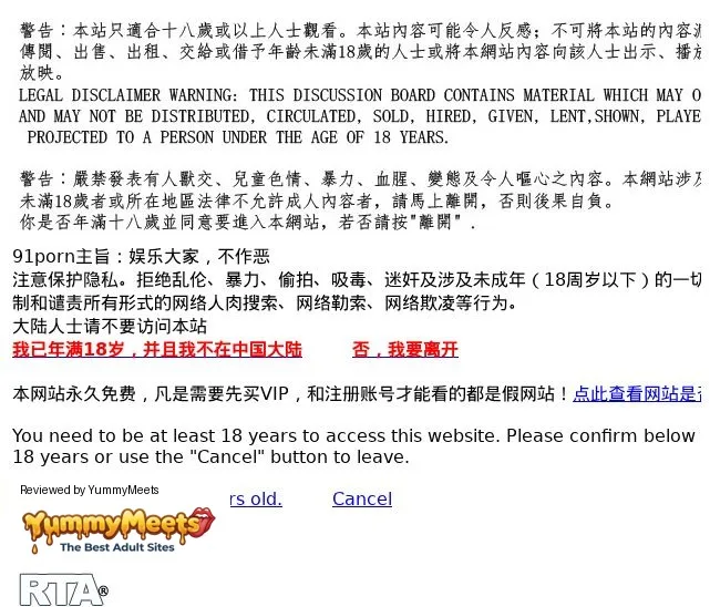 91Porn Porn Sites Review Screenshot