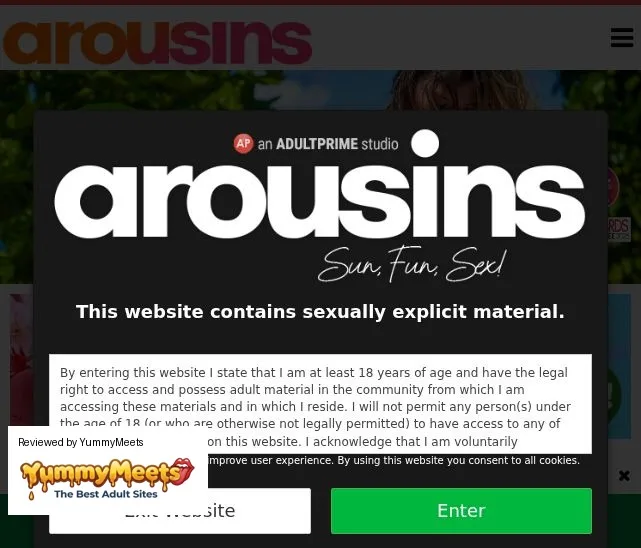 Arousins Porn Sites Review Screenshot Arousins Porn Sites Review Screenshot
