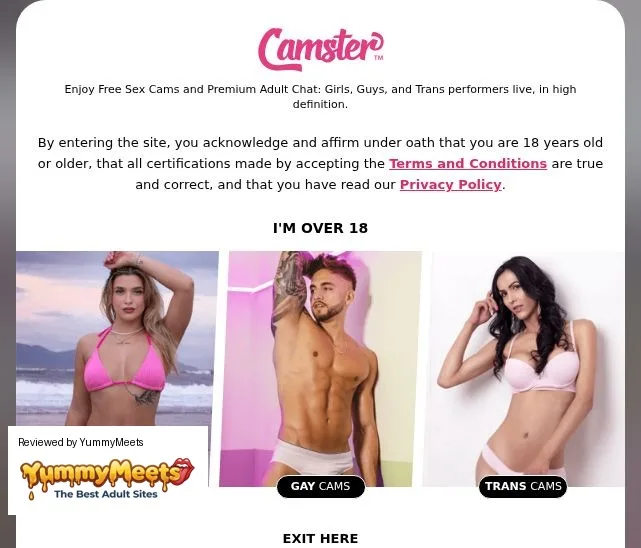 Camster Live Sex Cams Review Screenshot Camster Live Sex Cams Review Screenshot