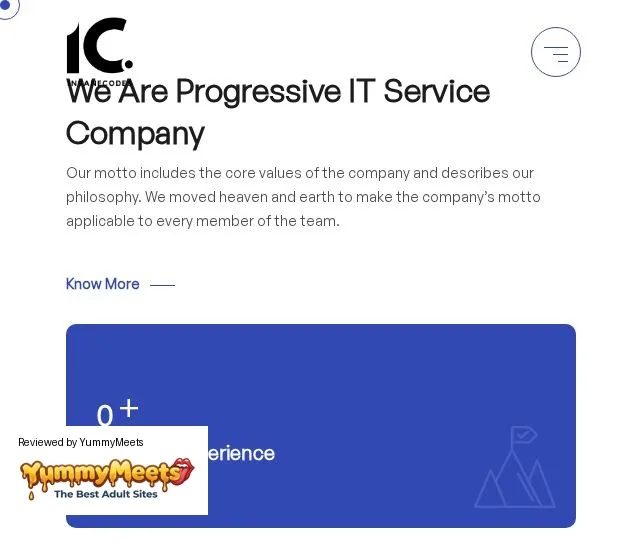 Insanecoeds Porn Sites Review Screenshot