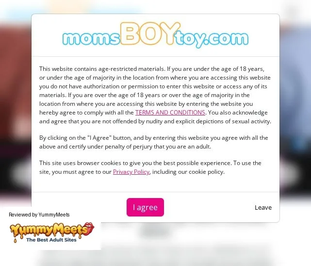 Momboytoy Porn Sites Review Screenshot Momboytoy Porn Sites Review Screenshot