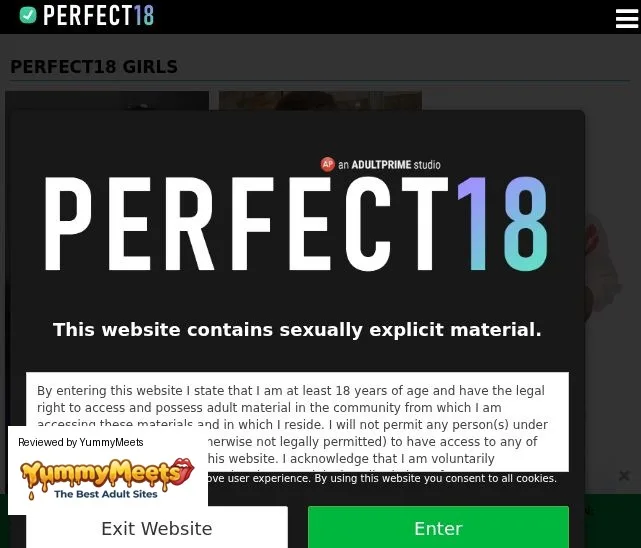 Perfect 18 Porn Sites Review Screenshot Perfect 18 Porn Sites Review Screenshot