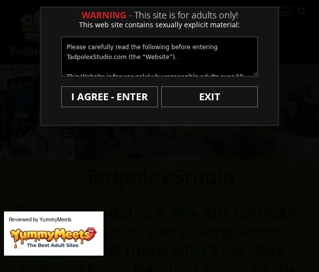 Tadpolexstudio Porn Sites Review Screenshot Tadpolexstudio Porn Sites Review Screenshot