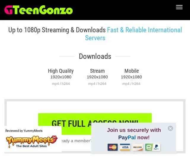 Teengonzo Porn Sites Review Screenshot