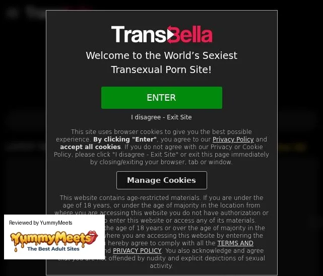 Transbella Porn Sites Review Screenshot Transbella Porn Sites Review Screenshot