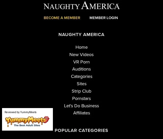 Naughty America Porn Sites Review Screenshot