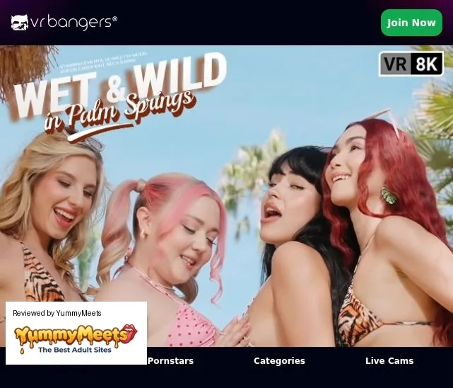 Vrbangers Porn Sites Review Screenshot Vrbangers Porn Sites Review Screenshot