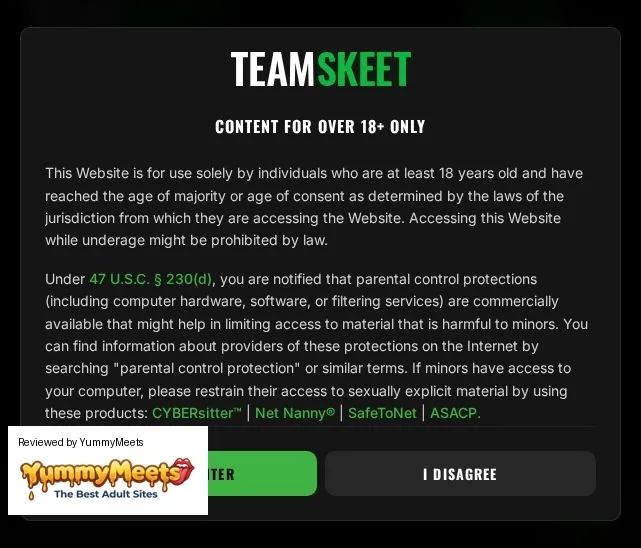 Teamskeet Porn Sites Review Screenshot Teamskeet Porn Sites Review Screenshot